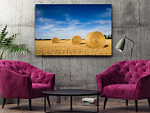 Obraz Balíky slamy na poli zs1236